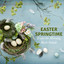 Easter Springtime - Enjoy the Morning Birds Sounds cover