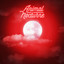 Animal nocturne cover