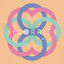 Seashells cover