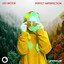 Perfect Imperfection artwork