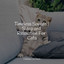 Timeless Sounds | Sleep and Relaxation For Cats cover