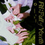 TEMPEST(템페스트) - WE ARE THE YOUNG