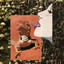 Unknown Title cover