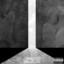 Zellis profile