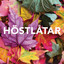 Höstlåtar cover