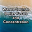 Waves Sounds Better Focus and Concentration cover