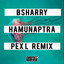Hamunaptra - Pex L Remix