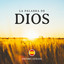 Ave María cover