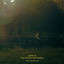 Lehto & The Motion Orchestra - Tranquility