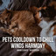 Ambient Sounds: Pets Cooldown to Chill Winds Harmony cover