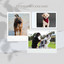 Simplistic - The Cutest Dog cover