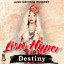 Destiny cover