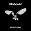 Night Owl artwork