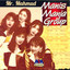 Mr. Mahmud cover