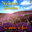 NELSON Y S*S ESTRELLAS - GITANA