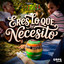 Internacional Orquesta la Típica - Eres Lo Que Necesito