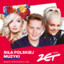 Siła polskiej muzyki - Radio Zet cover