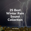 25 Best Winter Rain Sound Collection cover