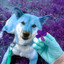 Piano Bossa Duo - Ambiance for Doggy Play Centers cover