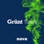 Grünt Tunes cover