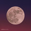 Indigo - Moons