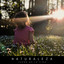Naturaleza: Juego De La Vida cover