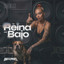 La Reina Del Bajo artwork