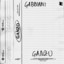 Gabbiani cover