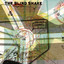 Peach Lines cover