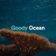 Goody Ocean cover