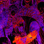 Broken Skulls cover