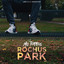 Rochuspark cover