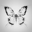 . - WP20 with MILLZY - DURING 01 MAGIC106