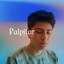 Palpitar cover