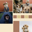Peaceful (Cute Hounds) cover