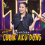 Ayo Sayang Culik Aku Dong cover