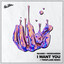 I Want You - Twinflame Extended Remix
