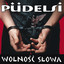 Konduktorka PKP cover