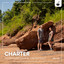 Charter artwork