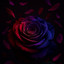 Dual Rose artwork