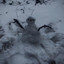 Snowgirl