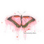 No Regrets cover