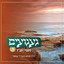 ניגון תפילה לשבת cover