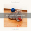 Wind Noises For Indoors Cats cover
