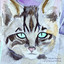 Maaike Siegerist - Call Of The Last Wildcat