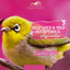 Unknown Title cover