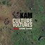 Culture Vultures