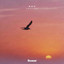 NSH - Horizon