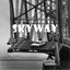 Skyway cover