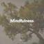 Mindfulness cover